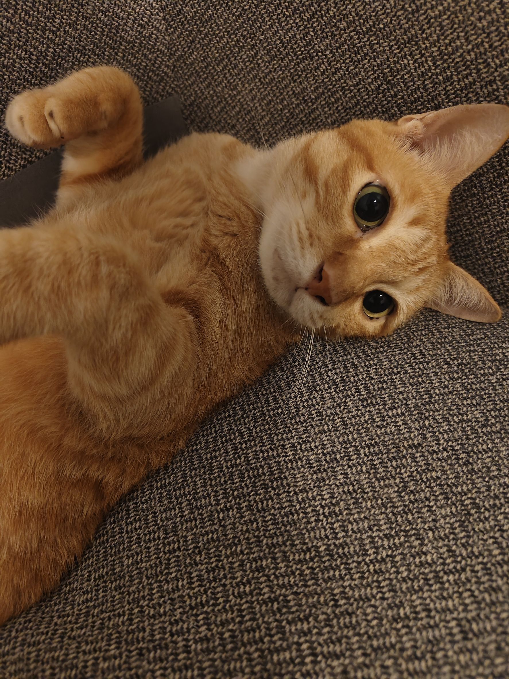 รูปโปรไฟล์ Jakkrit Kaewpaitool